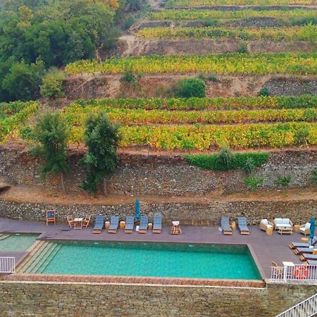 Quinta De Travassinhos- Douro Valley & Spa Санта-Марта-ди-Пенагиан Экстерьер фото