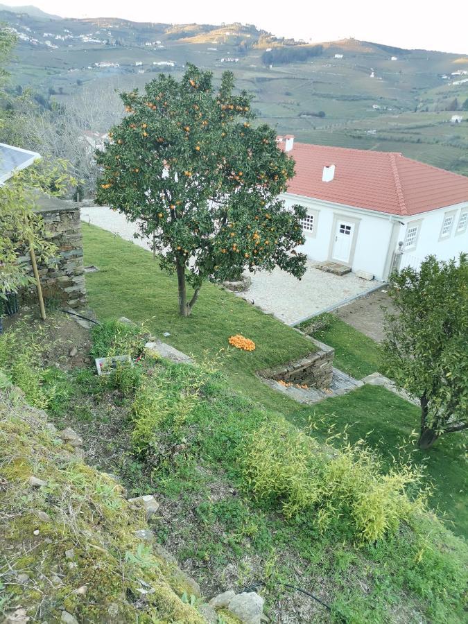 Quinta De Travassinhos- Douro Valley & Spa Санта-Марта-ди-Пенагиан Экстерьер фото