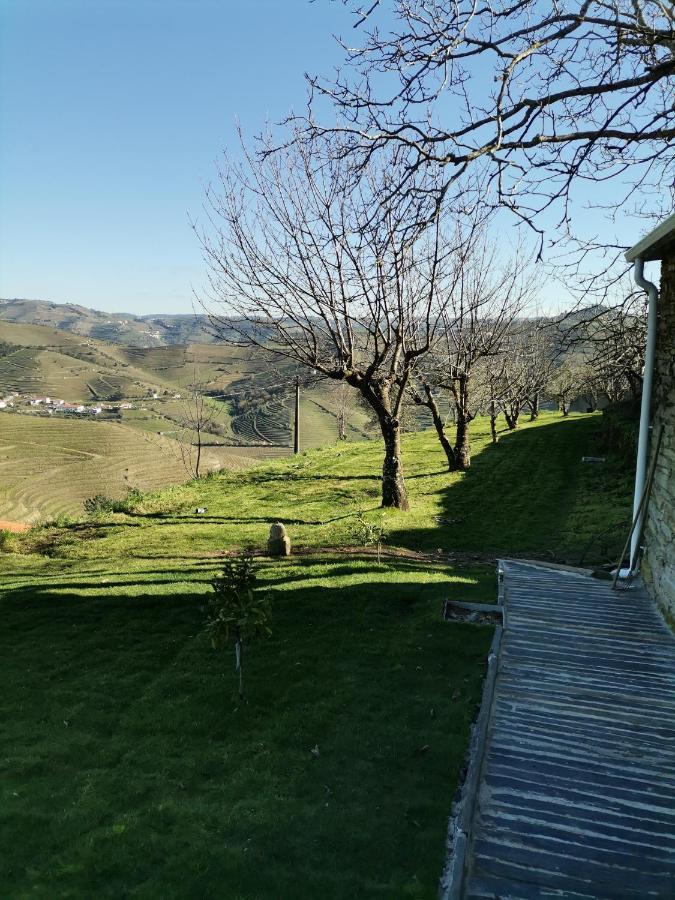 Quinta De Travassinhos- Douro Valley & Spa Санта-Марта-ди-Пенагиан Экстерьер фото