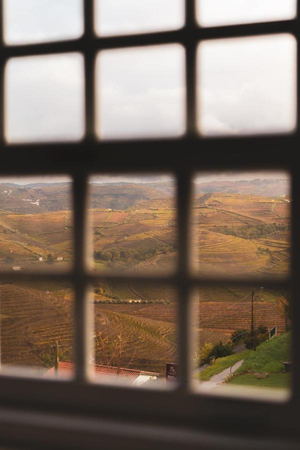 Quinta De Travassinhos- Douro Valley & Spa Санта-Марта-ди-Пенагиан Экстерьер фото