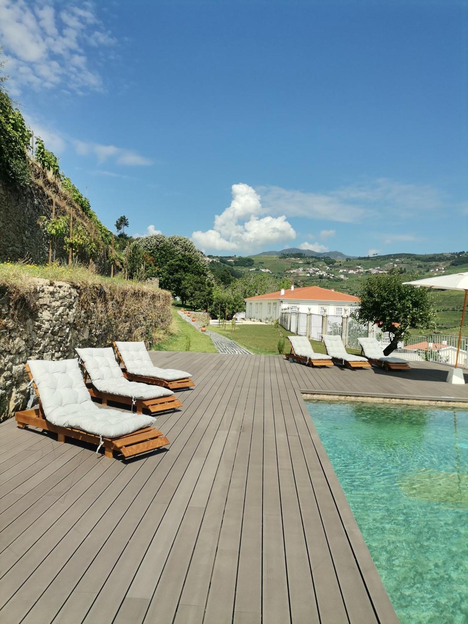 Quinta De Travassinhos- Douro Valley & Spa Санта-Марта-ди-Пенагиан Экстерьер фото