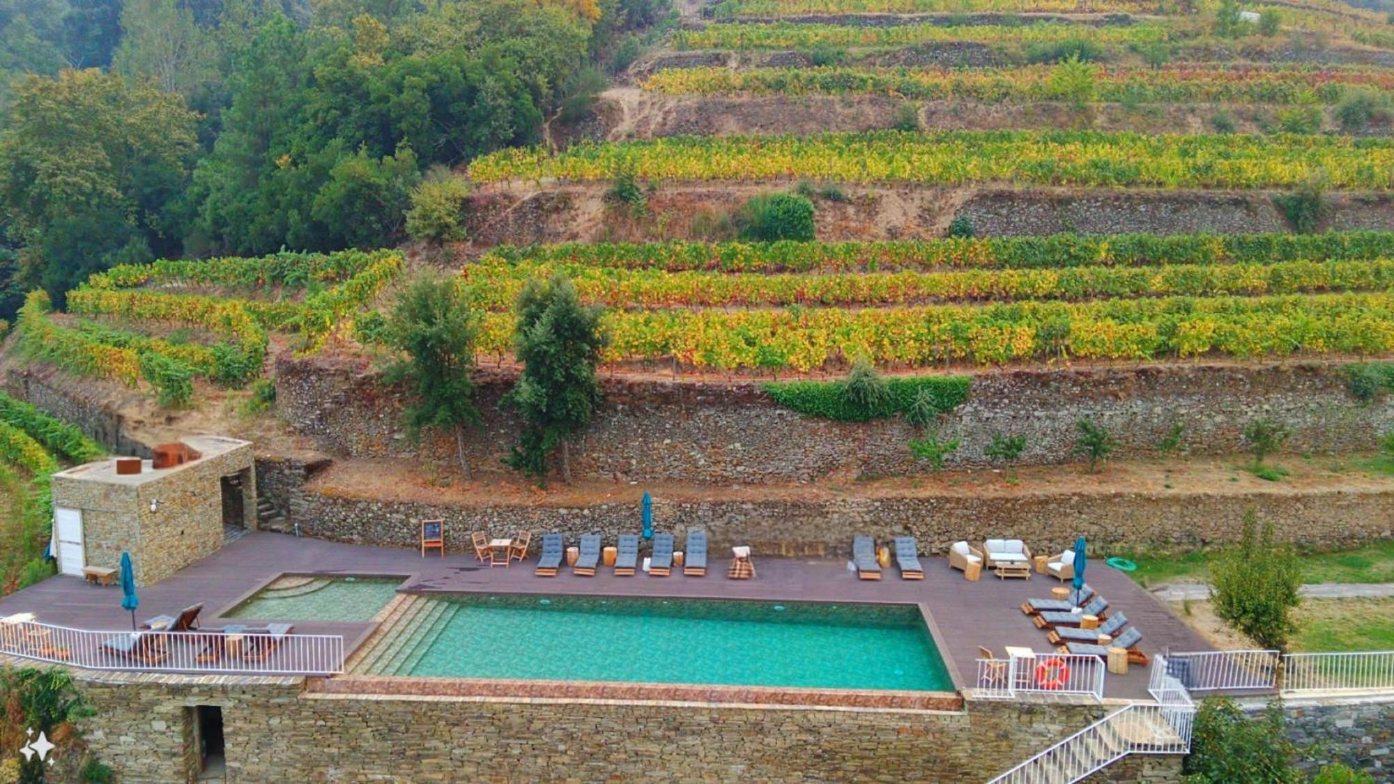 Quinta De Travassinhos- Douro Valley & Spa Санта-Марта-ди-Пенагиан Экстерьер фото