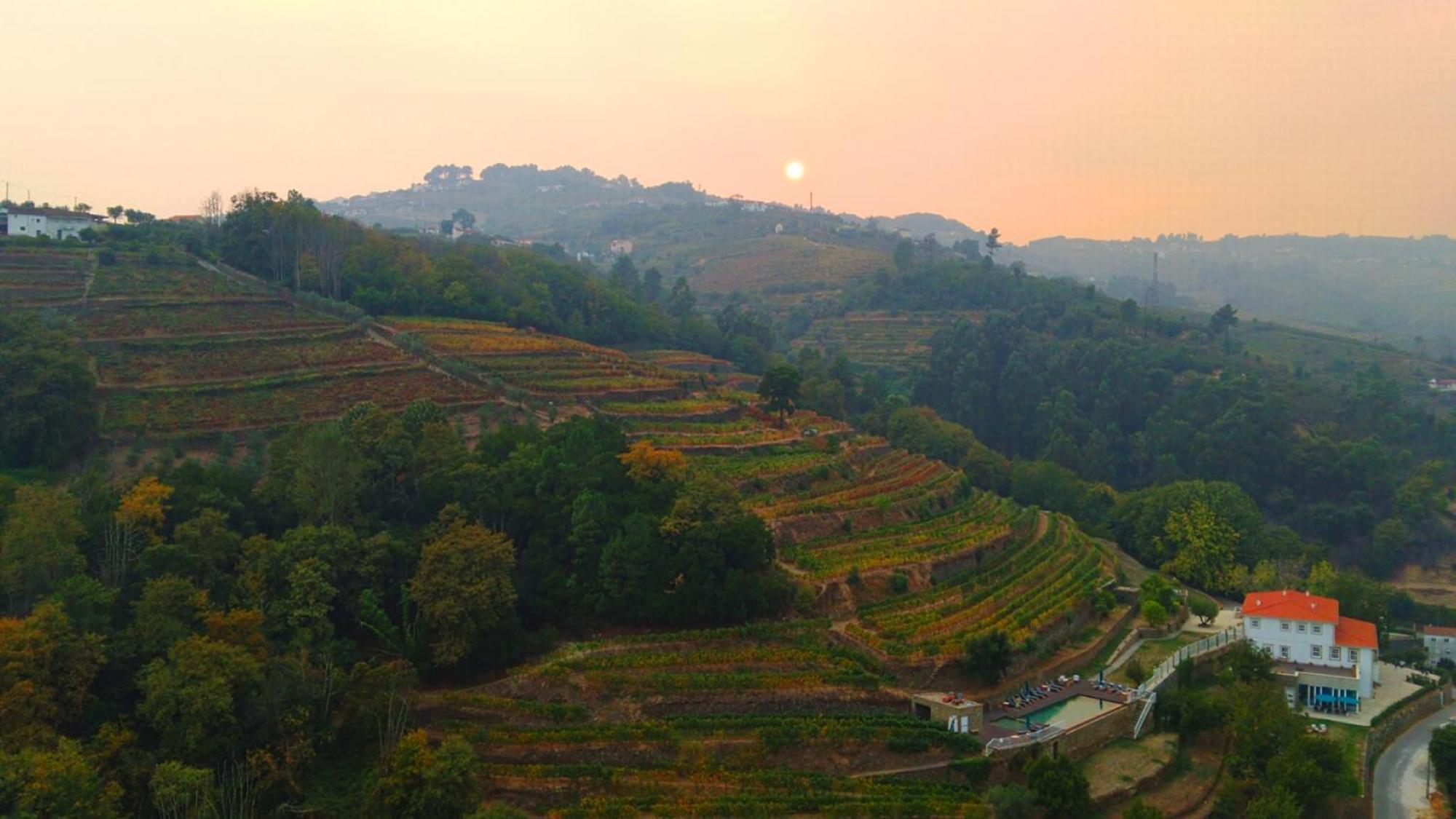 Quinta De Travassinhos- Douro Valley & Spa Санта-Марта-ди-Пенагиан Экстерьер фото