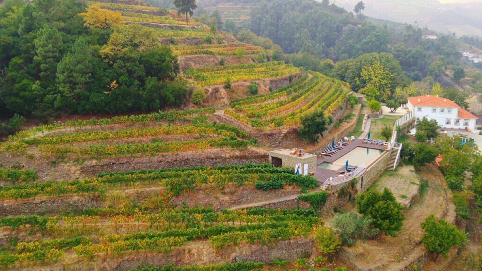 Quinta De Travassinhos- Douro Valley & Spa Санта-Марта-ди-Пенагиан Экстерьер фото